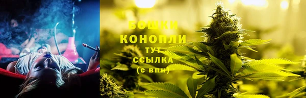 соль ск Бронницы