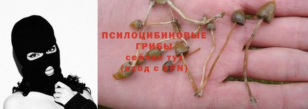 соль ск Бронницы