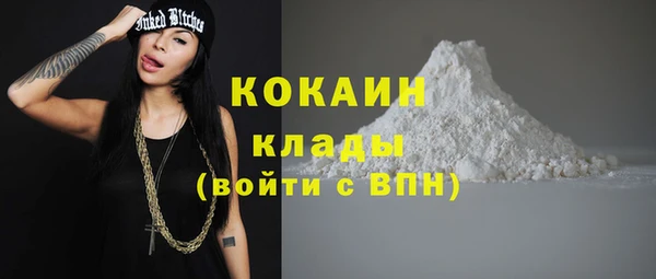 соль ск Бронницы