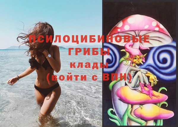 соль ск Бронницы