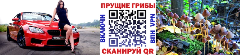 Псилоцибиновые грибы мицелий  Купить где  Волоколамск 