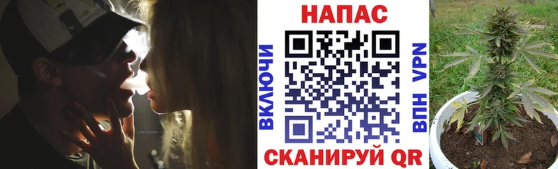 МАРИХУАНА сатива Купить где Волоколамск